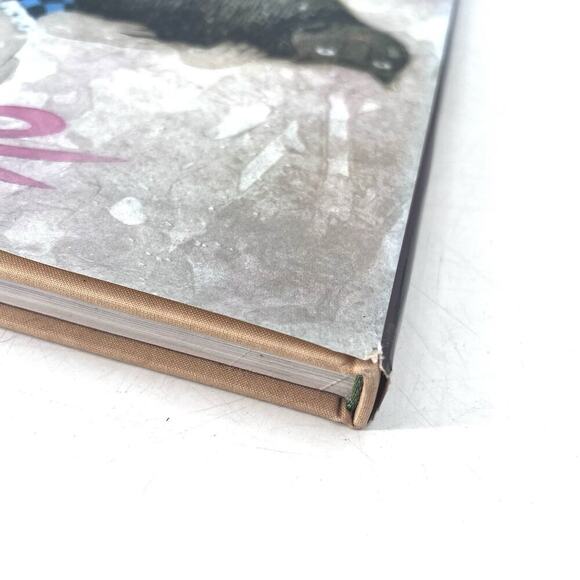 GARCIELA RODO BOULANGER Art Book - 1987 - First Edition - SIGNED By Artist - Picture 16 of 16